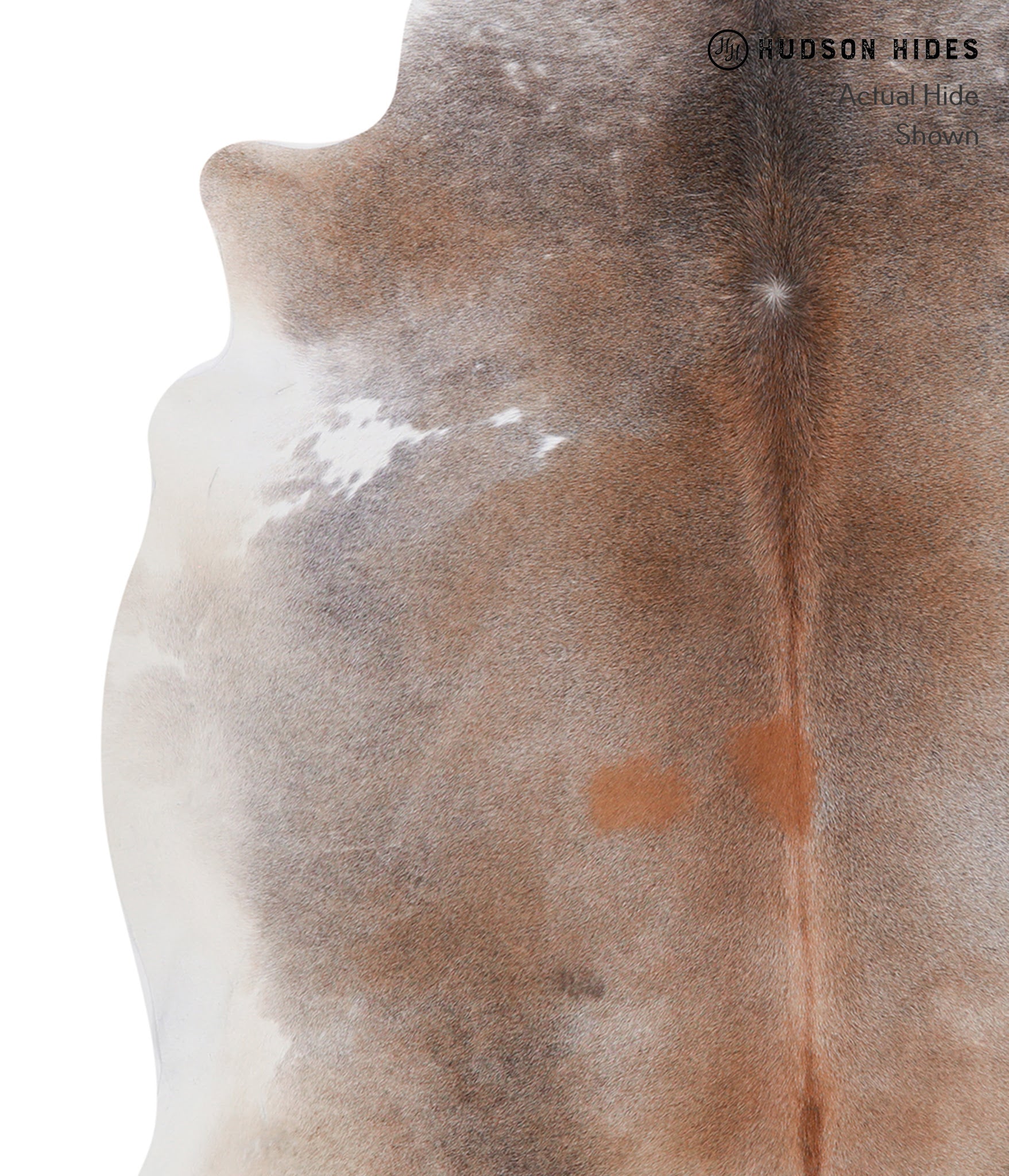 Grey with Beige Cowhide Rug #A5338