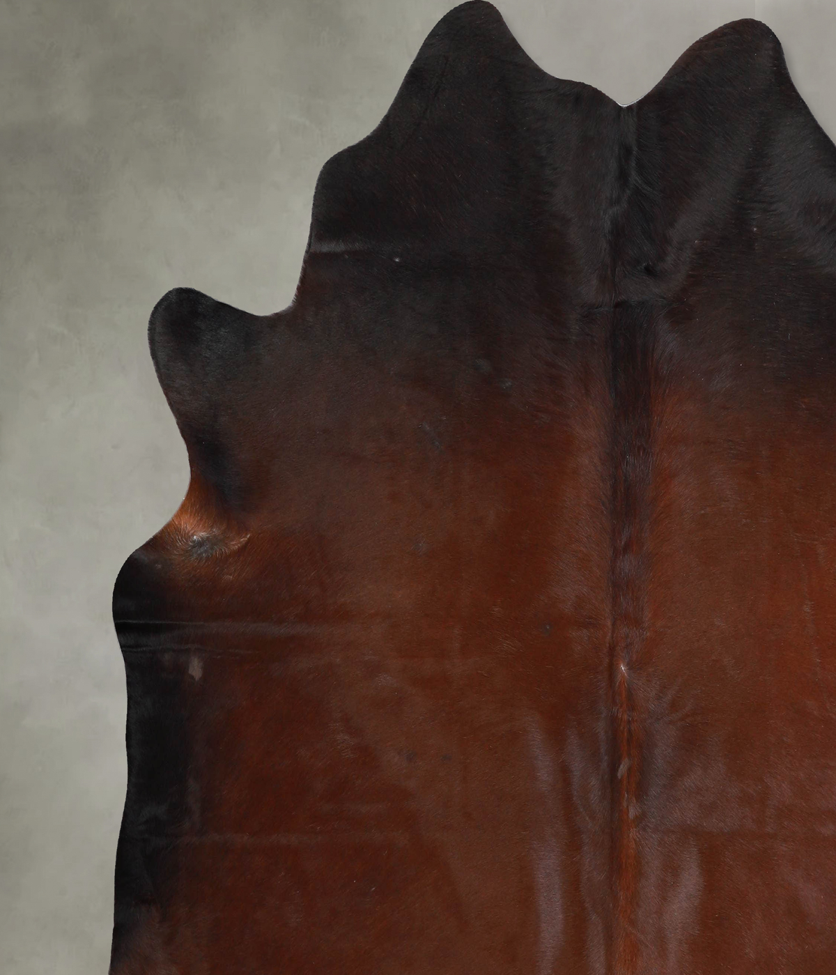 Warm Caramel X-Large Brazilian Cowhide Rug 7'1"H x 6'11"W #A53384 by Hudson Hides