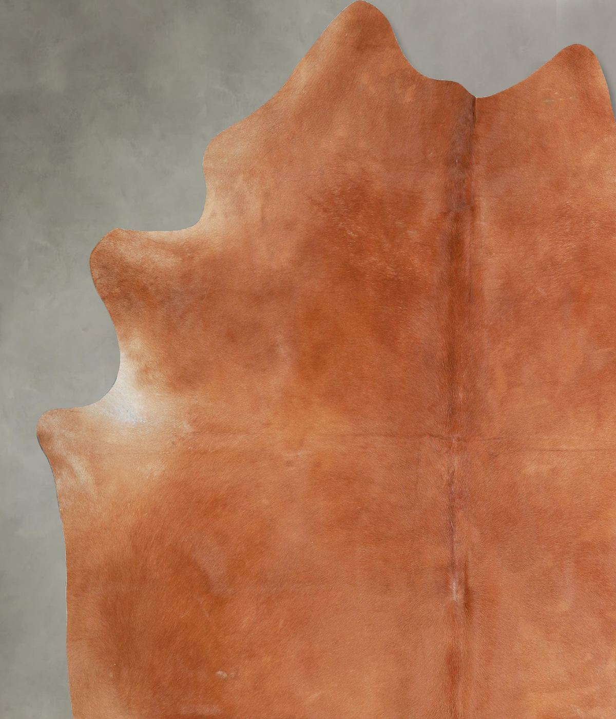 Solid Brown XX-Large Brazilian Cowhide Rug 8'0"H x 7'0"W #A53386 by Hudson Hides