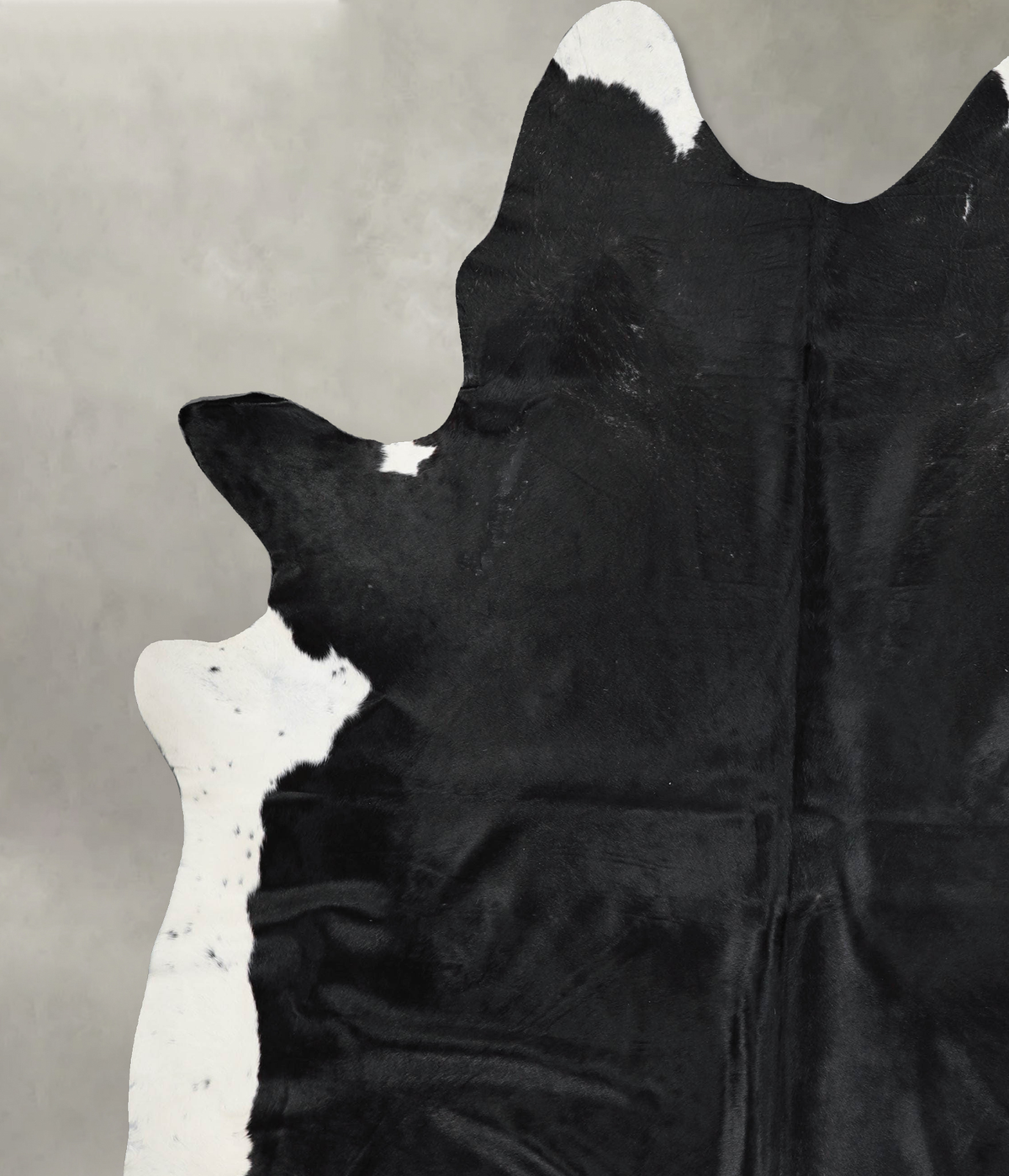 Solid Black XX-Large Brazilian Cowhide Rug 8'4"H x 6'11"W #A53389 by Hudson Hides