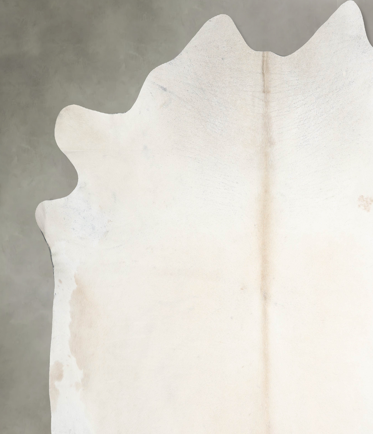 Ivory with Beige XX-Large Brazilian Cowhide Rug 8'6"H x 8'4"W #A53393 by Hudson Hides