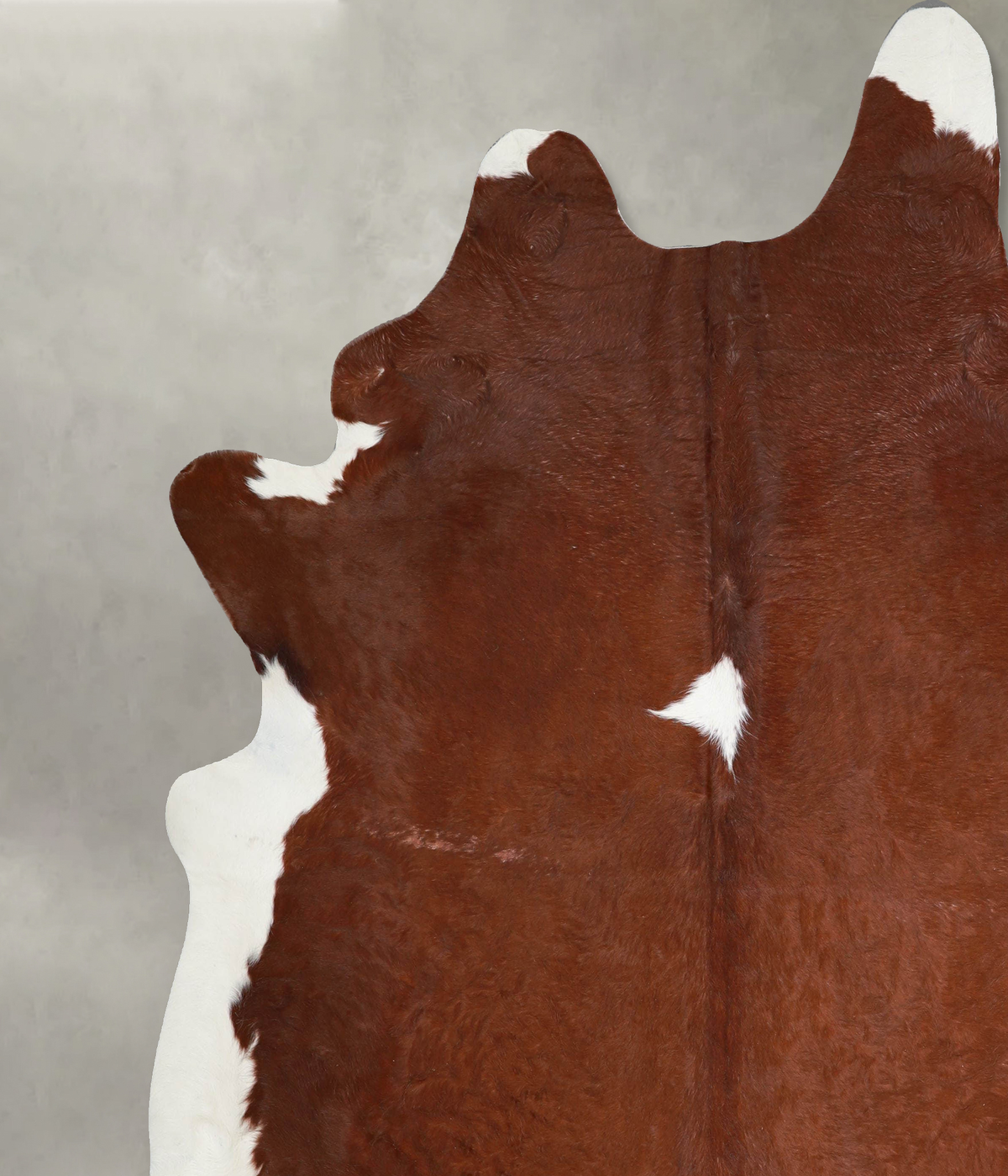 Brown and White Regular XX-Large Brazilian Cowhide Rug 8'1"H x 7'5"W #A53402 by Hudson Hides