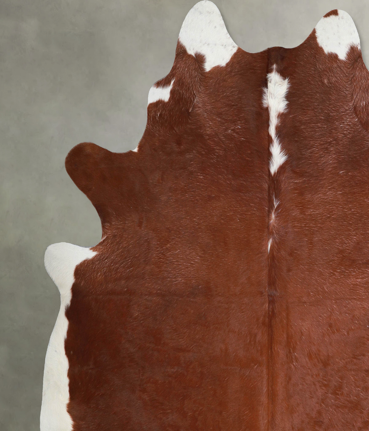 Hereford XX-Large Brazilian Cowhide Rug 8'2"H x 7'7"W #A53404 by Hudson Hides