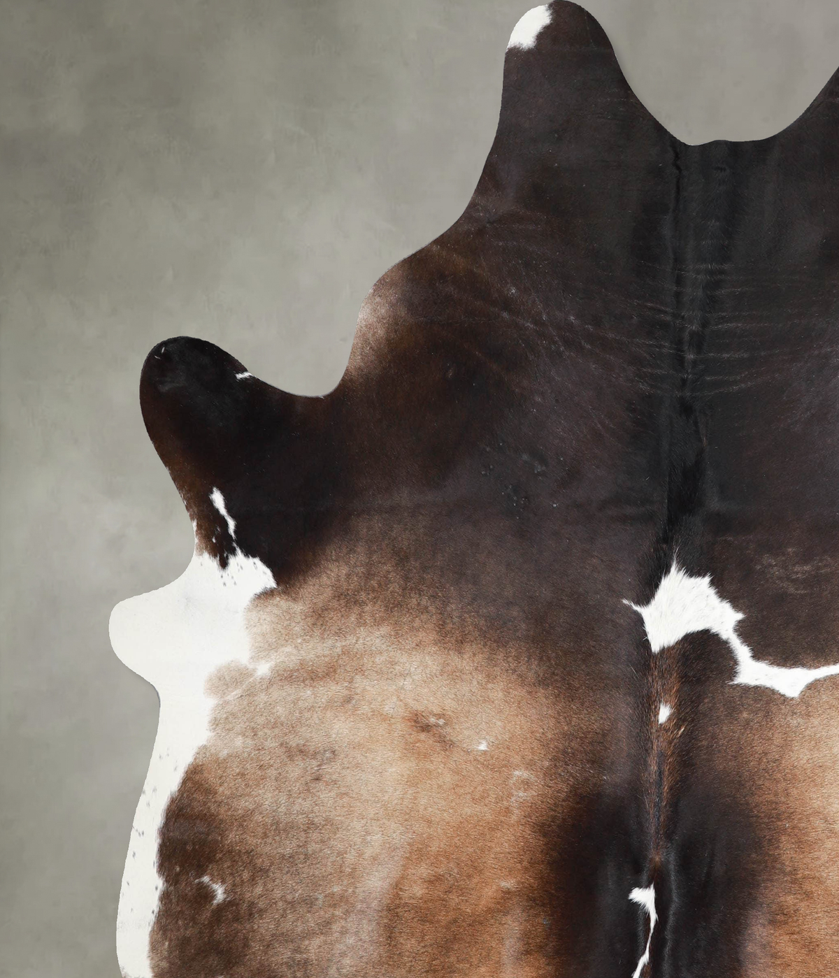 Chocolate and White X-Large Brazilian Cowhide Rug 7'5"H x 6'4"W #A53411 by Hudson Hides