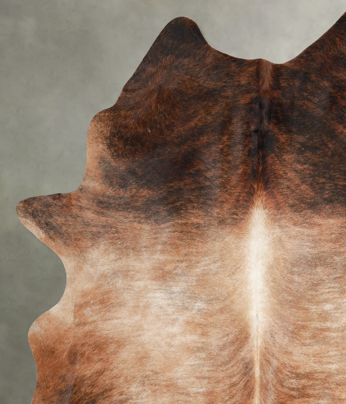 Medium Brindle XX-Large Brazilian Cowhide Rug 8'0"H x 6'3"W #A53413 by Hudson Hides