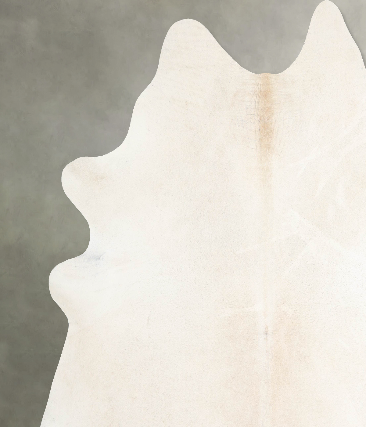 Ivory with Beige X-Large Brazilian Cowhide Rug 7'2"H x 6'10"W #A53415 by Hudson Hides