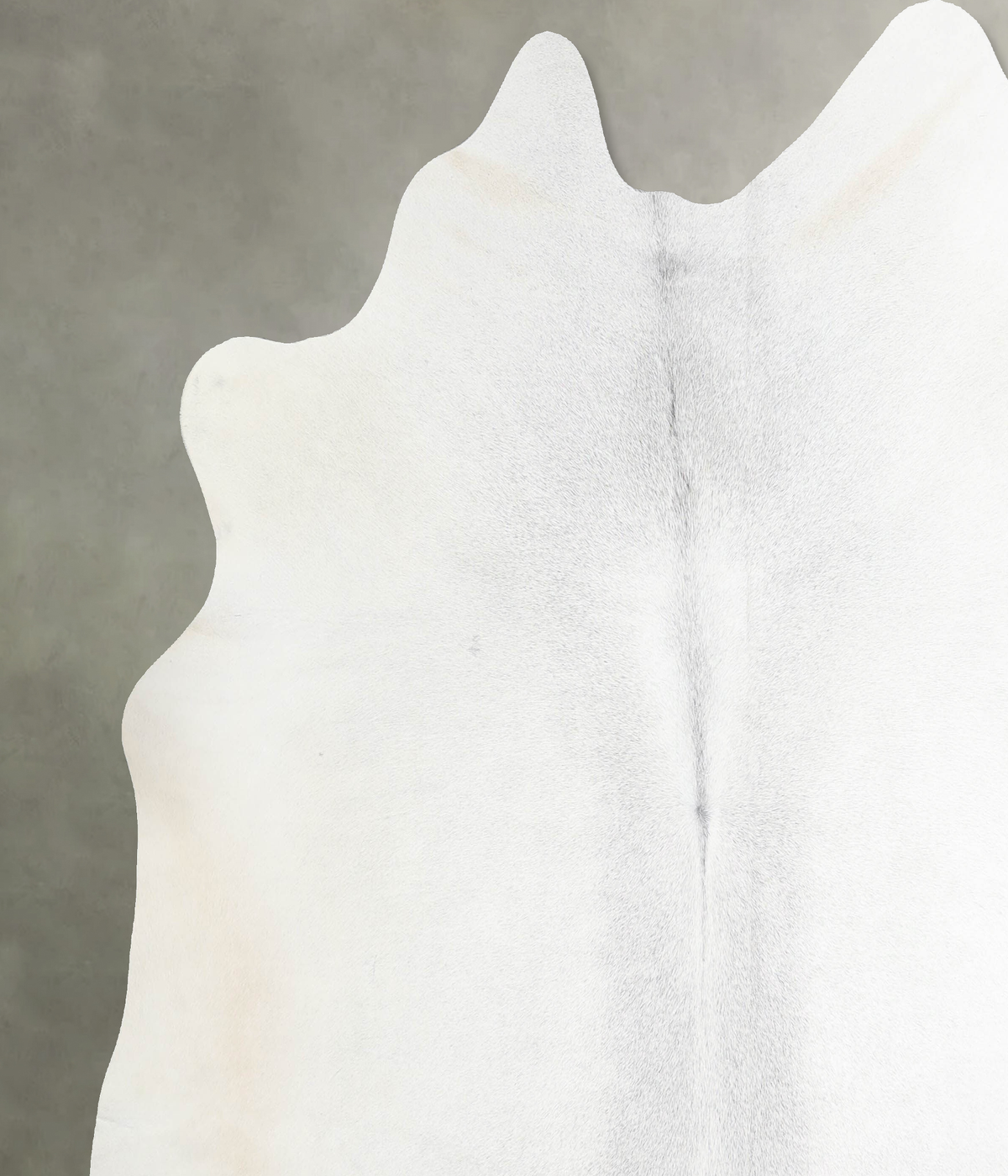 Light Grey XX-Large Brazilian Cowhide Rug 6'11"H x 7'5"W #A53418 by Hudson Hides