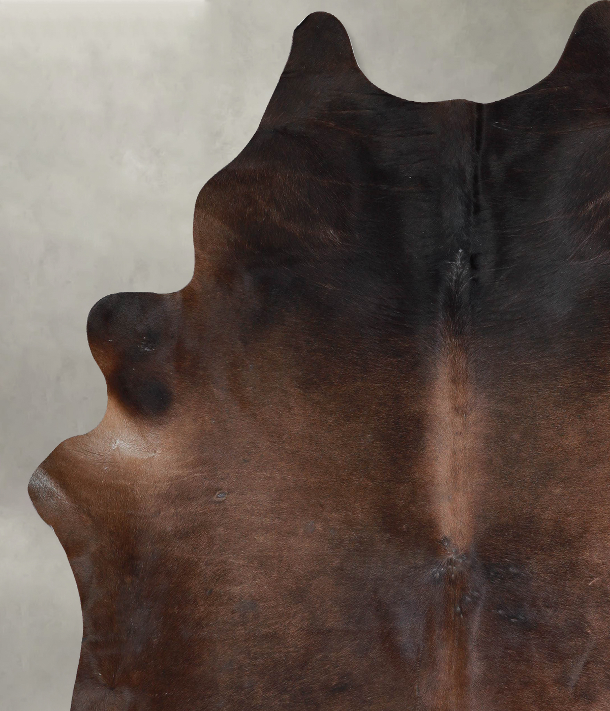 Chocolate XX-Large Brazilian Cowhide Rug 8'1"H x 6'8"W #A53420 by Hudson Hides