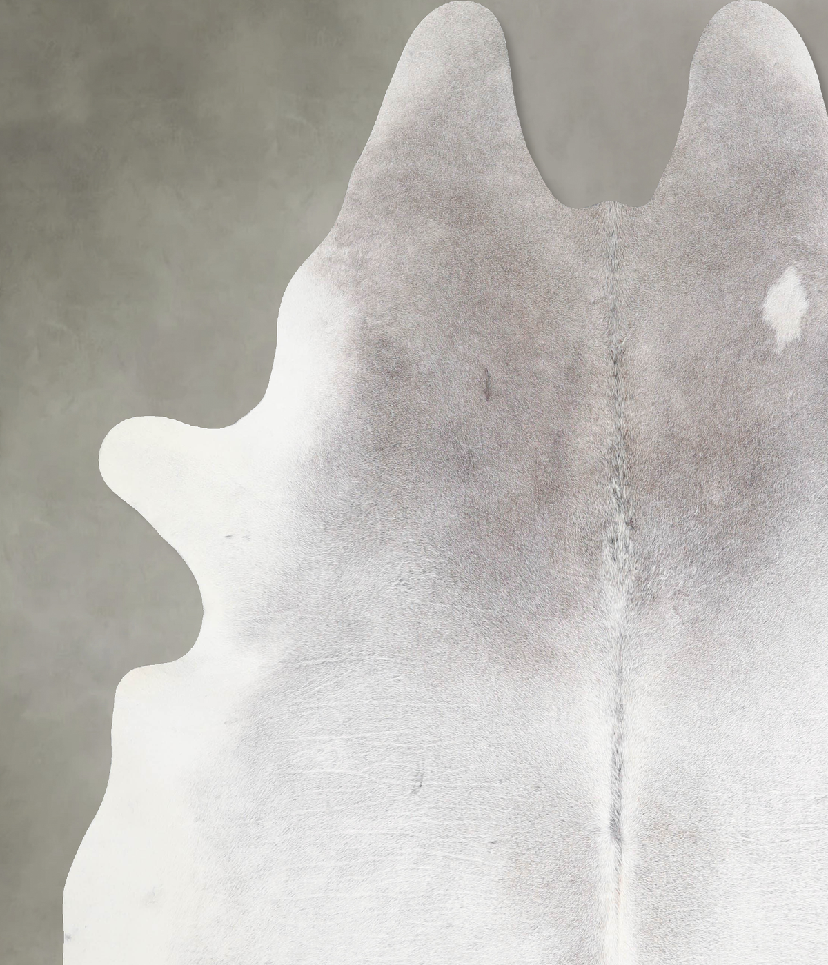 Medium Grey XX-Large Brazilian Cowhide Rug 8'3"H x 6'10"W #A53425 by Hudson Hides
