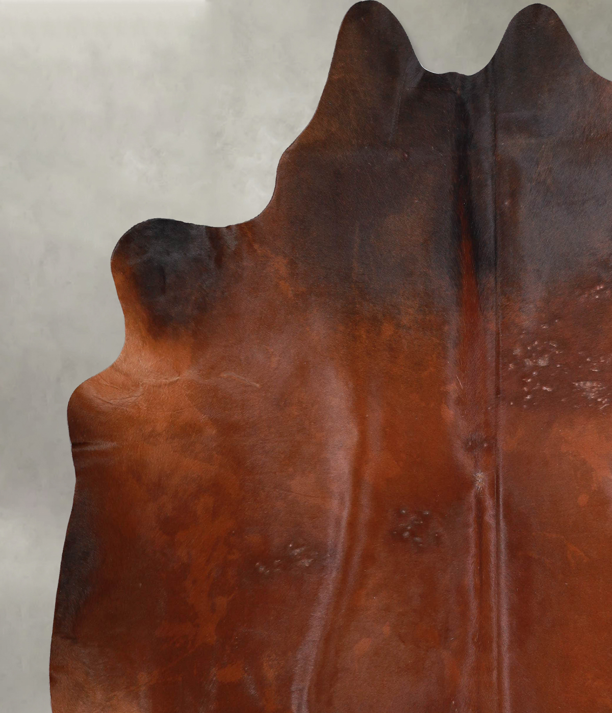 Warm Caramel X-Large Brazilian Cowhide Rug 6'11"H x 6'5"W #A53426 by Hudson Hides