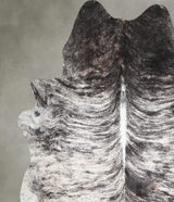 Grey Brindle XX-Large Brazilian Cowhide Rug 7'9"H x 6'10"W #A53430 by Hudson Hides
