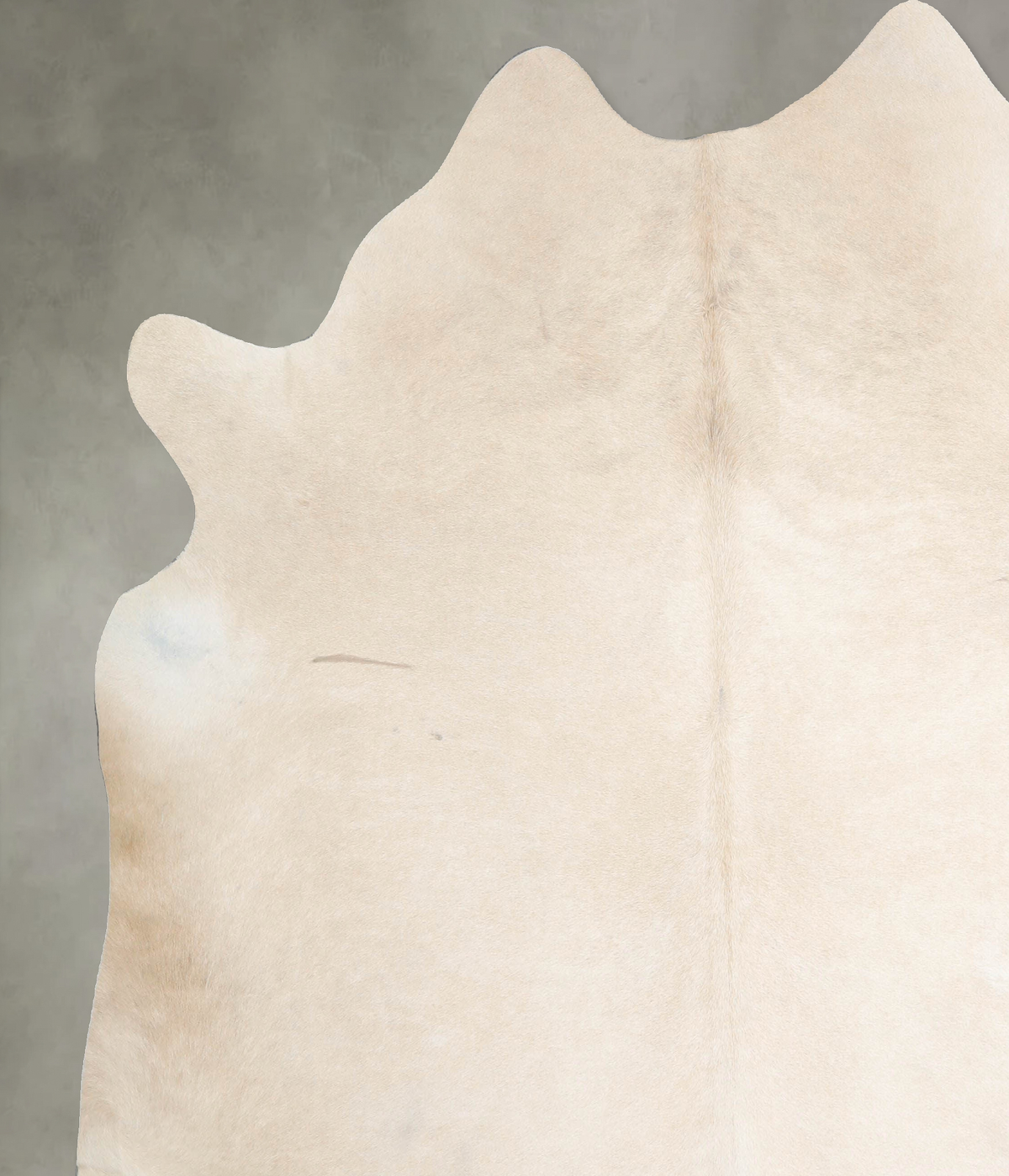 Ivory with Beige XX-Large Brazilian Cowhide Rug 7'4"H x 6'11"W #A53437 by Hudson Hides