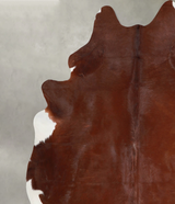 Solid Brown XX-Large Brazilian Cowhide Rug 7'9"H x 7'3"W #A53440 by Hudson Hides