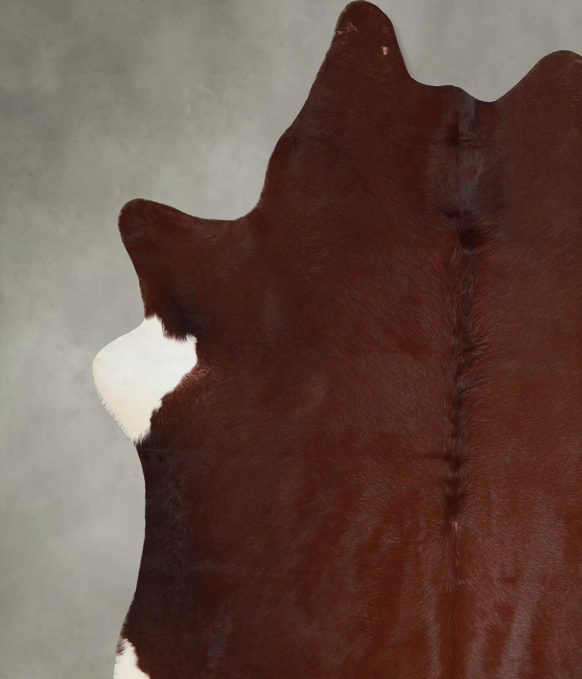 Solid Brown XX-Large Brazilian Cowhide Rug 7'5"H x 7'1"W #A53441 by Hudson Hides