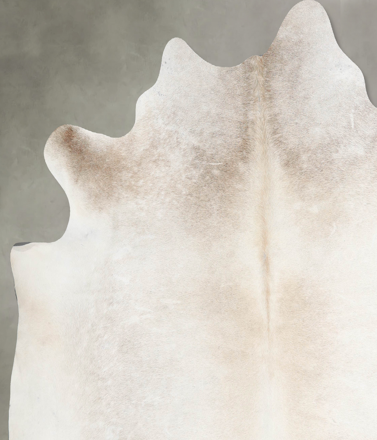 Grey with Beige X-Large Brazilian Cowhide Rug 6'9"H x 6'11"W #A53443 by Hudson Hides