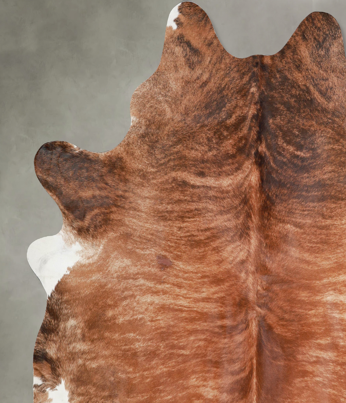 Medium Brindle XX-Large Brazilian Cowhide Rug 8'0"H x 7'1"W #A53446 by Hudson Hides