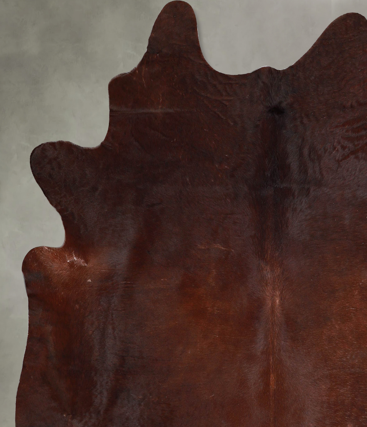 Warm Caramel X-Large Brazilian Cowhide Rug 7'5"H x 6'7"W #A53447 by Hudson Hides