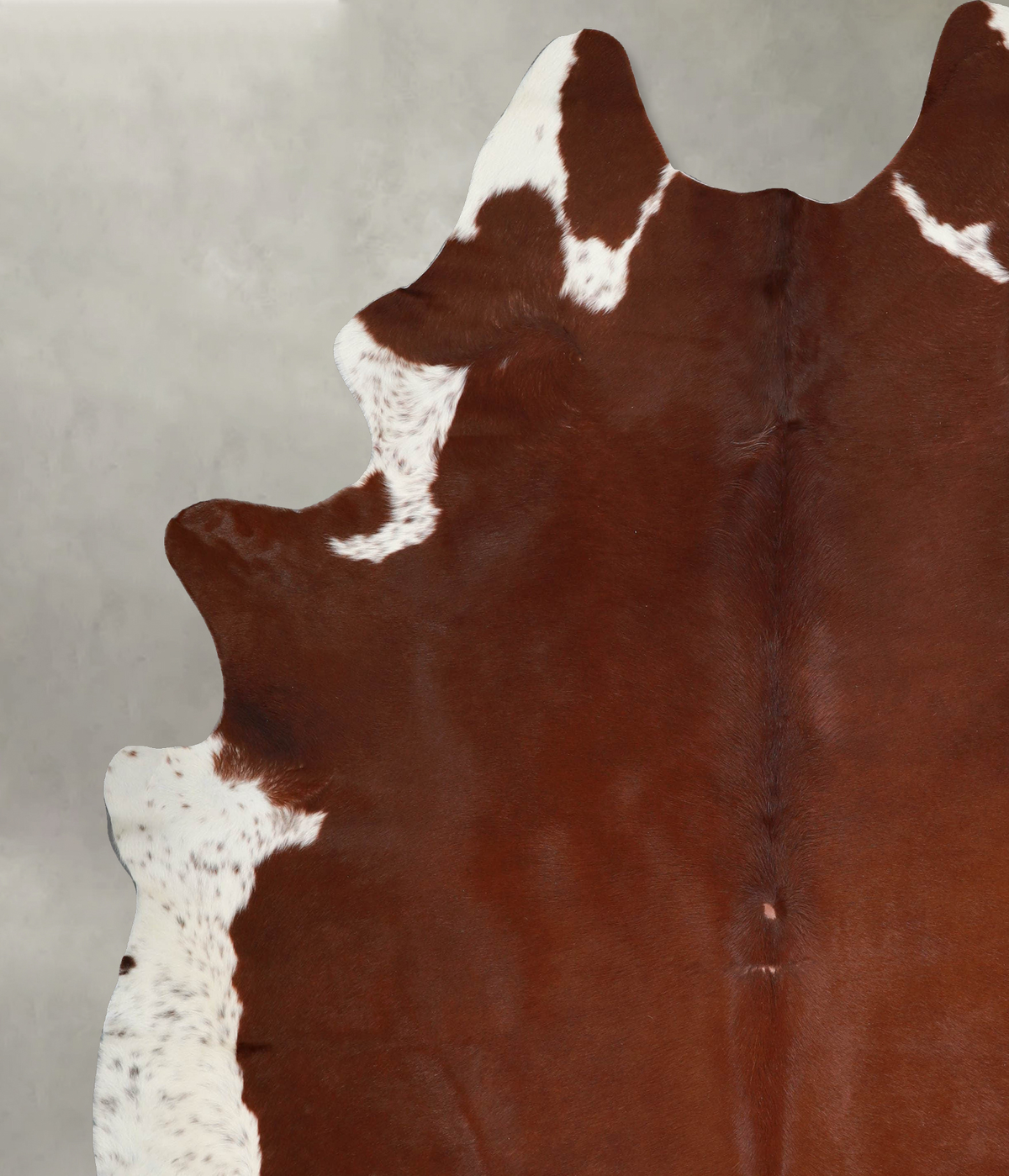 Brown and White Regular XX-Large Brazilian Cowhide Rug 8'9"H x 7'7"W #A53448 by Hudson Hides