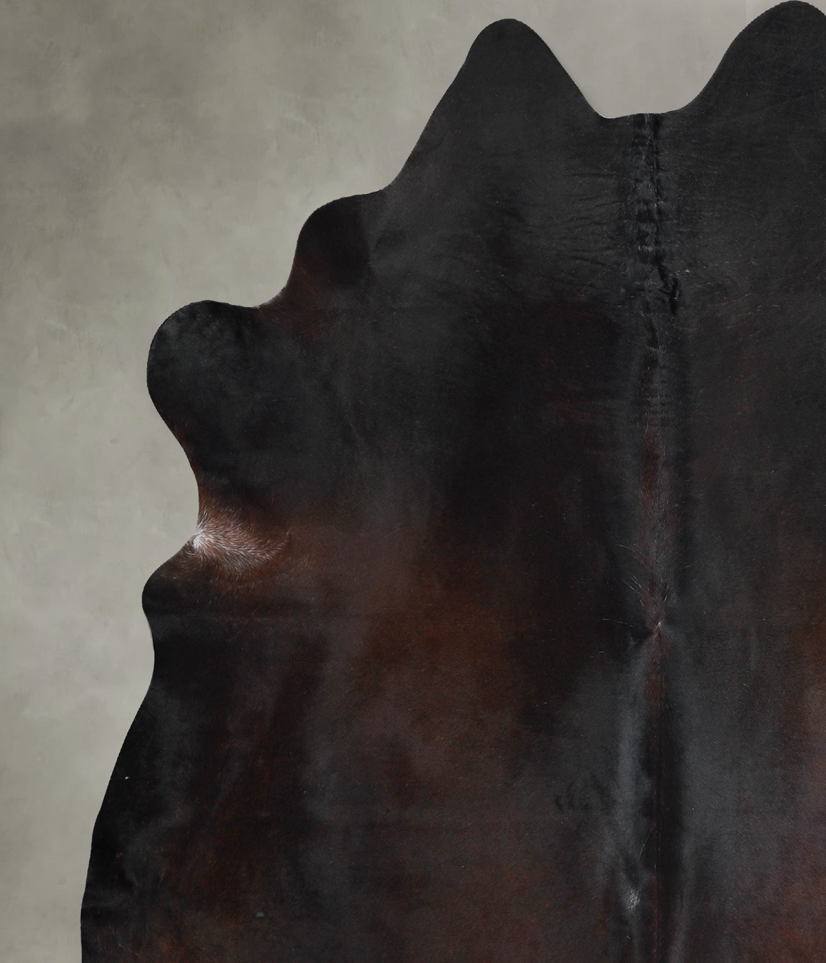 Warm Caramel X-Large Brazilian Cowhide Rug 7'3"H x 6'9"W #A53450 by Hudson Hides