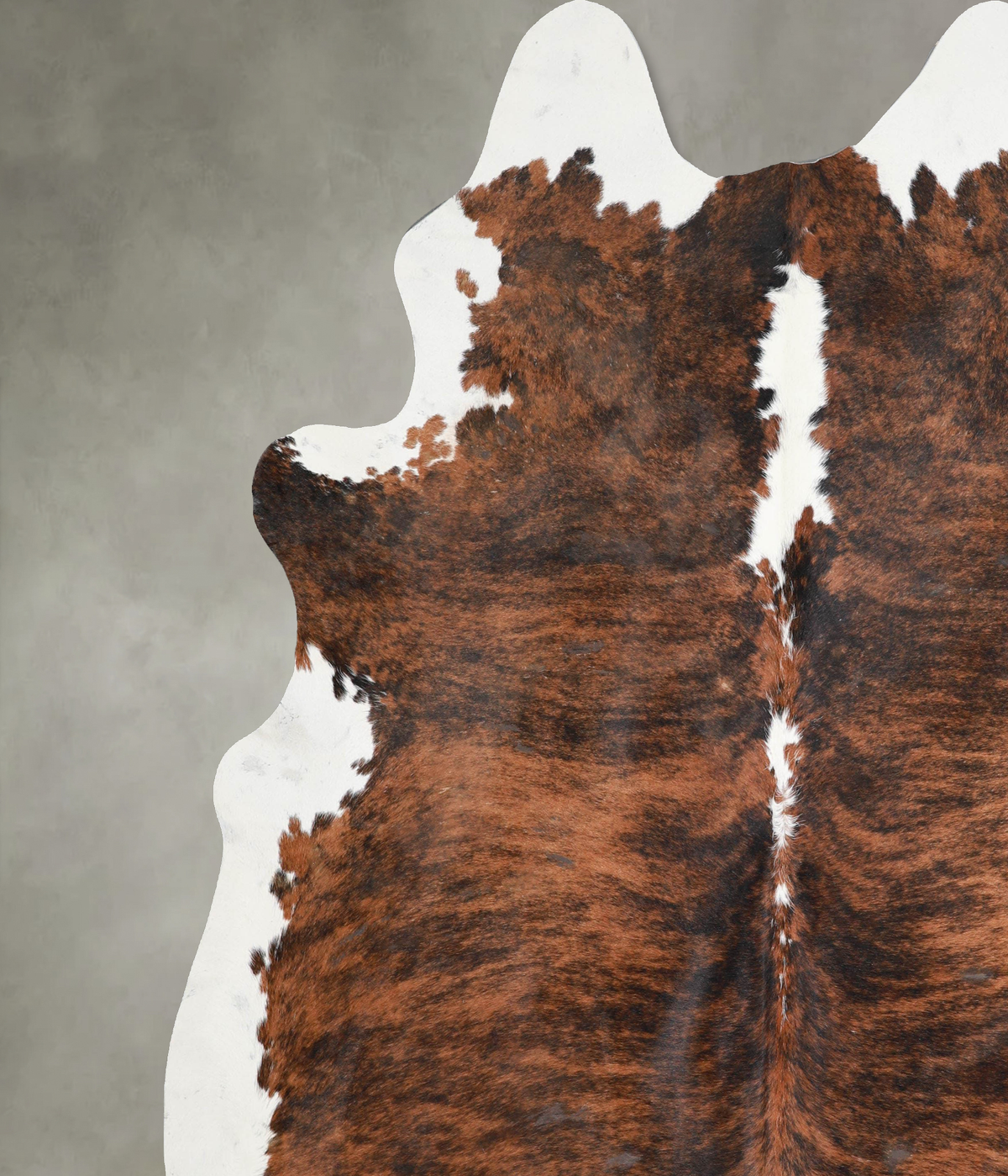 Tricolor XX-Large Brazilian Cowhide Rug 8'8"H x 7'6"W #A53453 by Hudson Hides