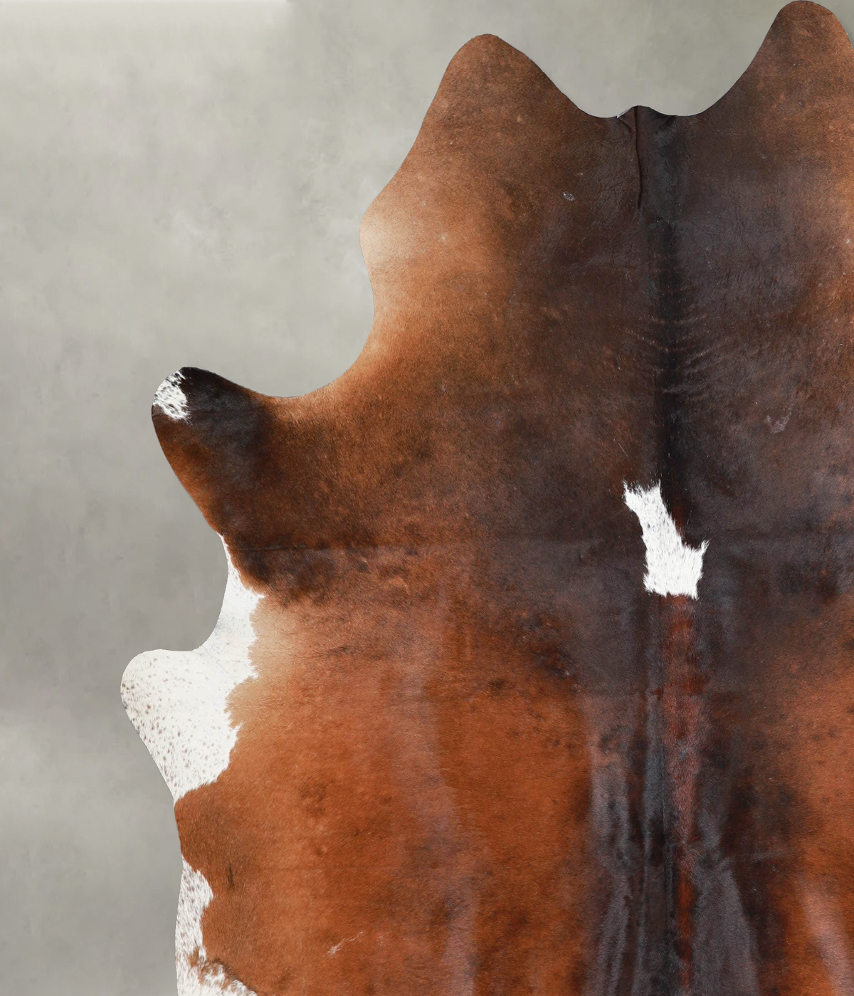 Chocolate and White XX-Large Brazilian Cowhide Rug 7'8"H x 6'11"W #A53456 by Hudson Hides