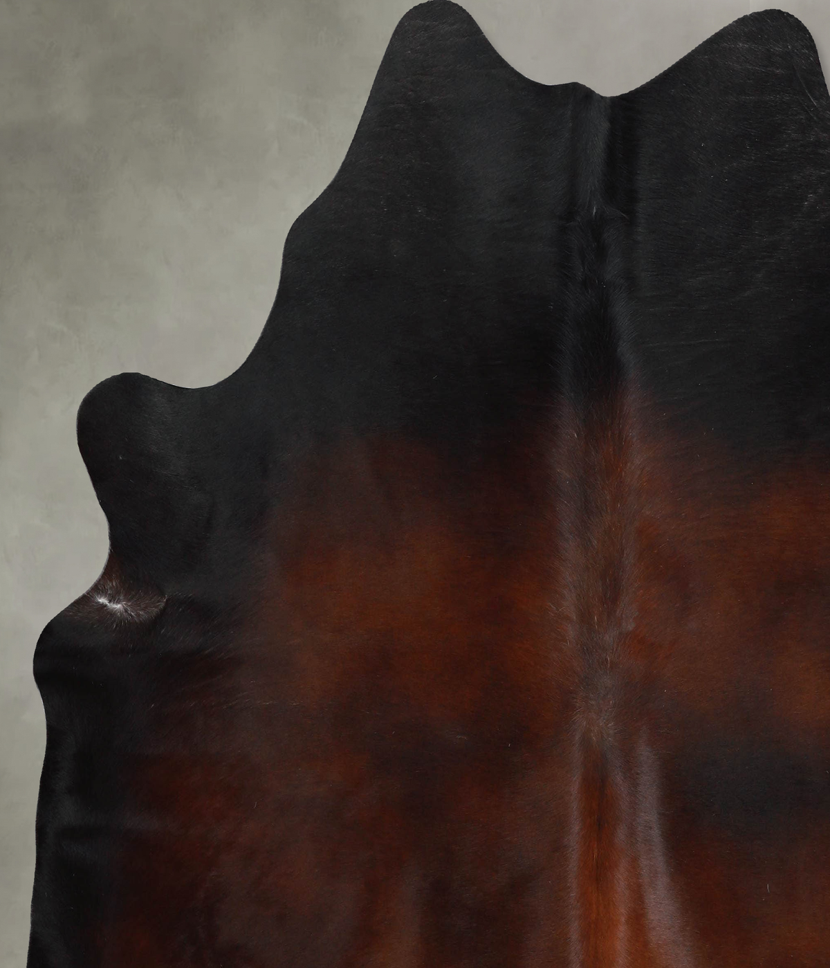 Warm Caramel X-Large Brazilian Cowhide Rug 6'9"H x 6'3"W #A53460 by Hudson Hides