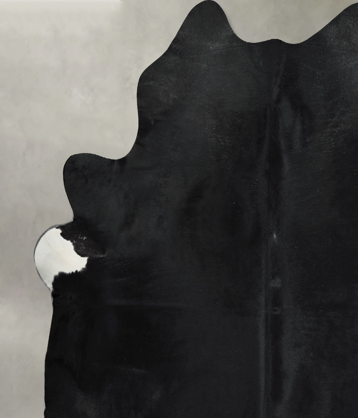 Solid Black XX-Large Brazilian Cowhide Rug 7'11"H x 7'10"W #A53461 by Hudson Hides