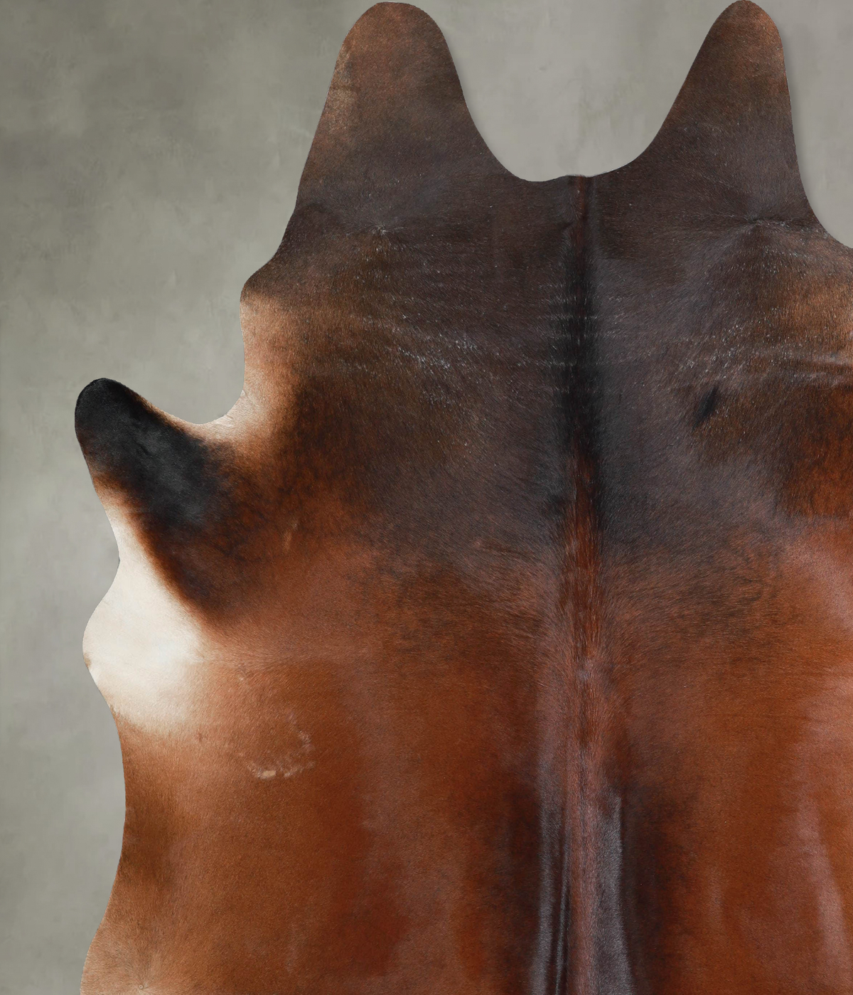 Warm Caramel XX-Large Brazilian Cowhide Rug 8'2"H x 7'3"W #A53466 by Hudson Hides