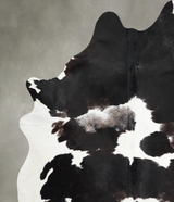 Black and White XX-Large Brazilian Cowhide Rug 8'2"H x 6'3"W #A53484 by Hudson Hides