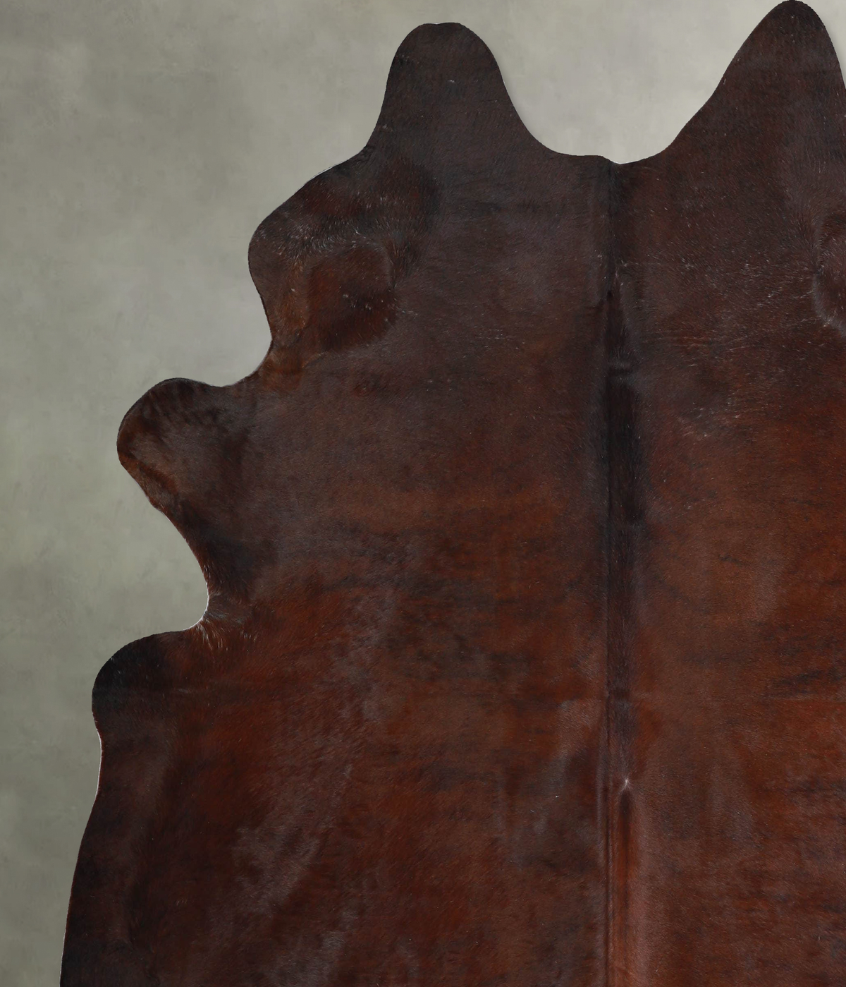 Warm Caramel X-Large Brazilian Cowhide Rug 7'5"H x 6'5"W #A53491 by Hudson Hides