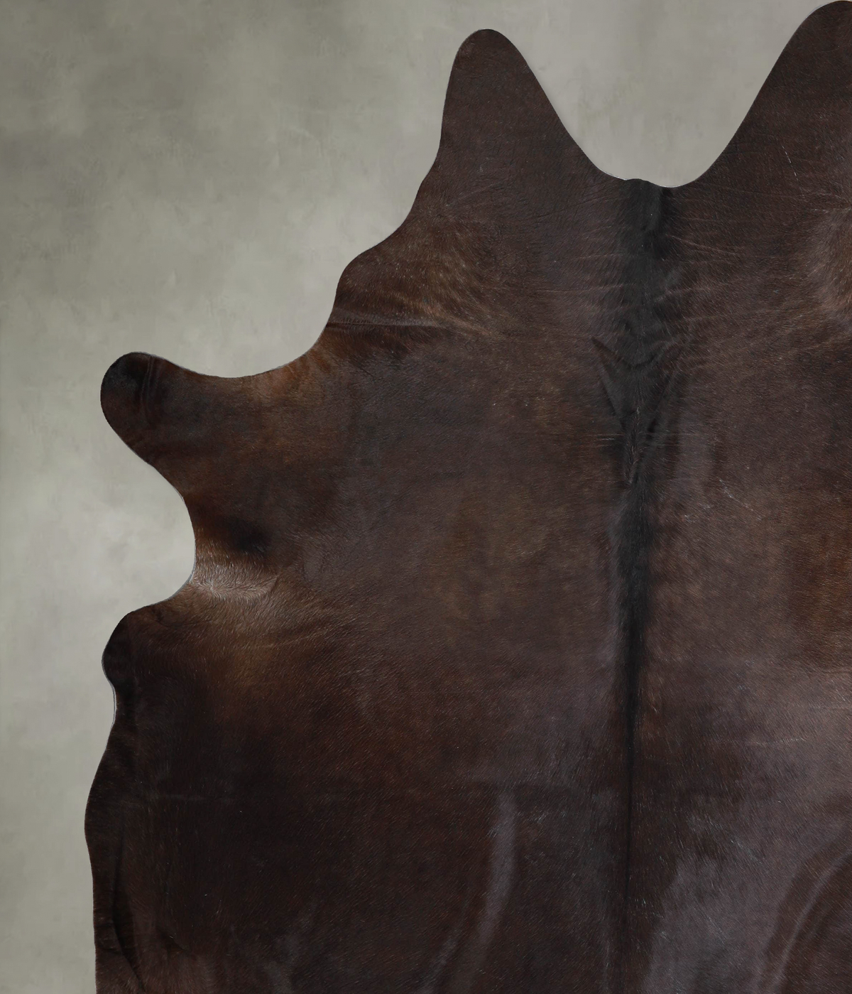 Chocolate XX-Large Brazilian Cowhide Rug 8'6"H x 7'4"W #A53492 by Hudson Hides