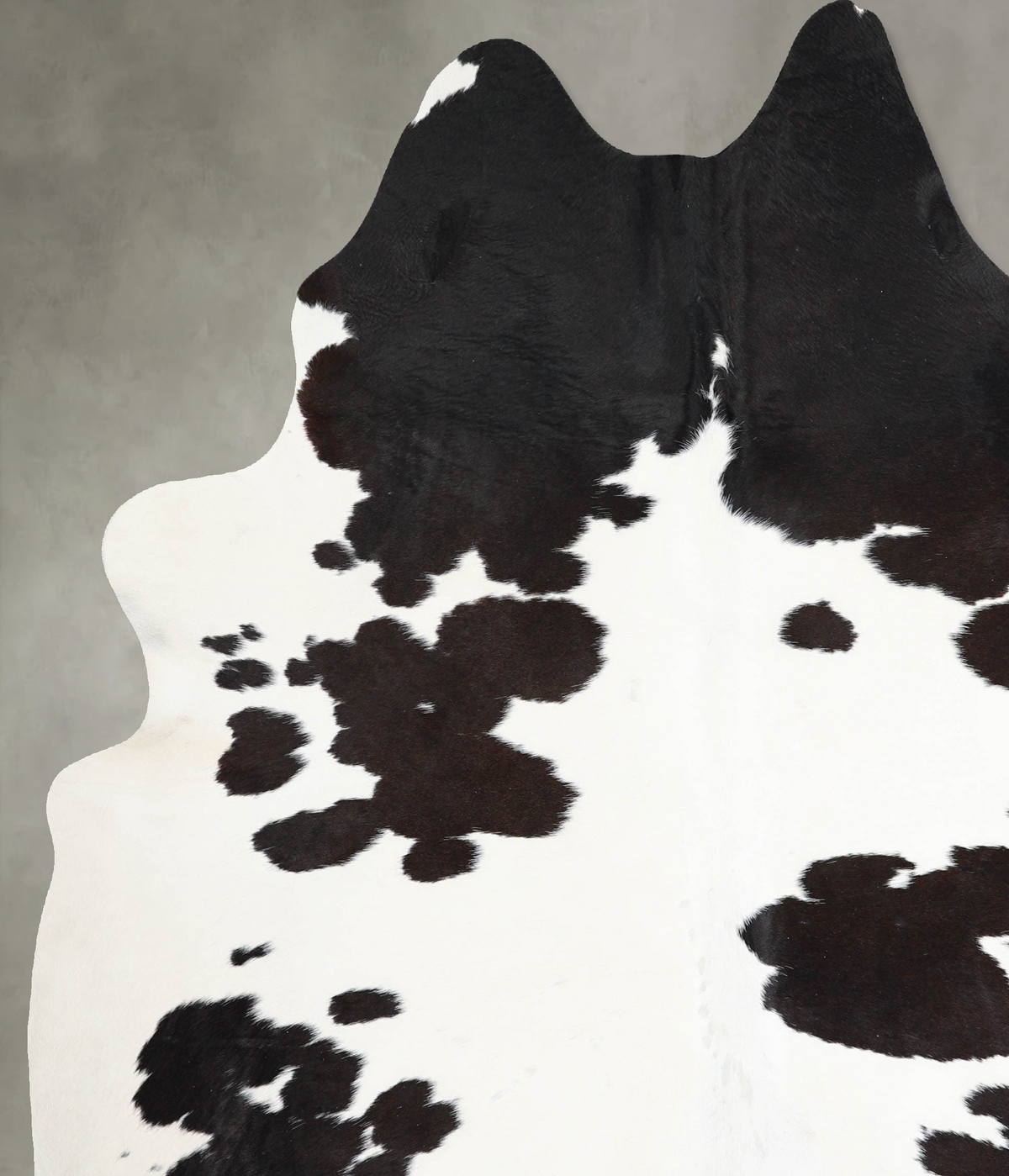 Chocolate and White X-Large Brazilian Cowhide Rug 8'0"H x 6'0"W #A53498 by Hudson Hides