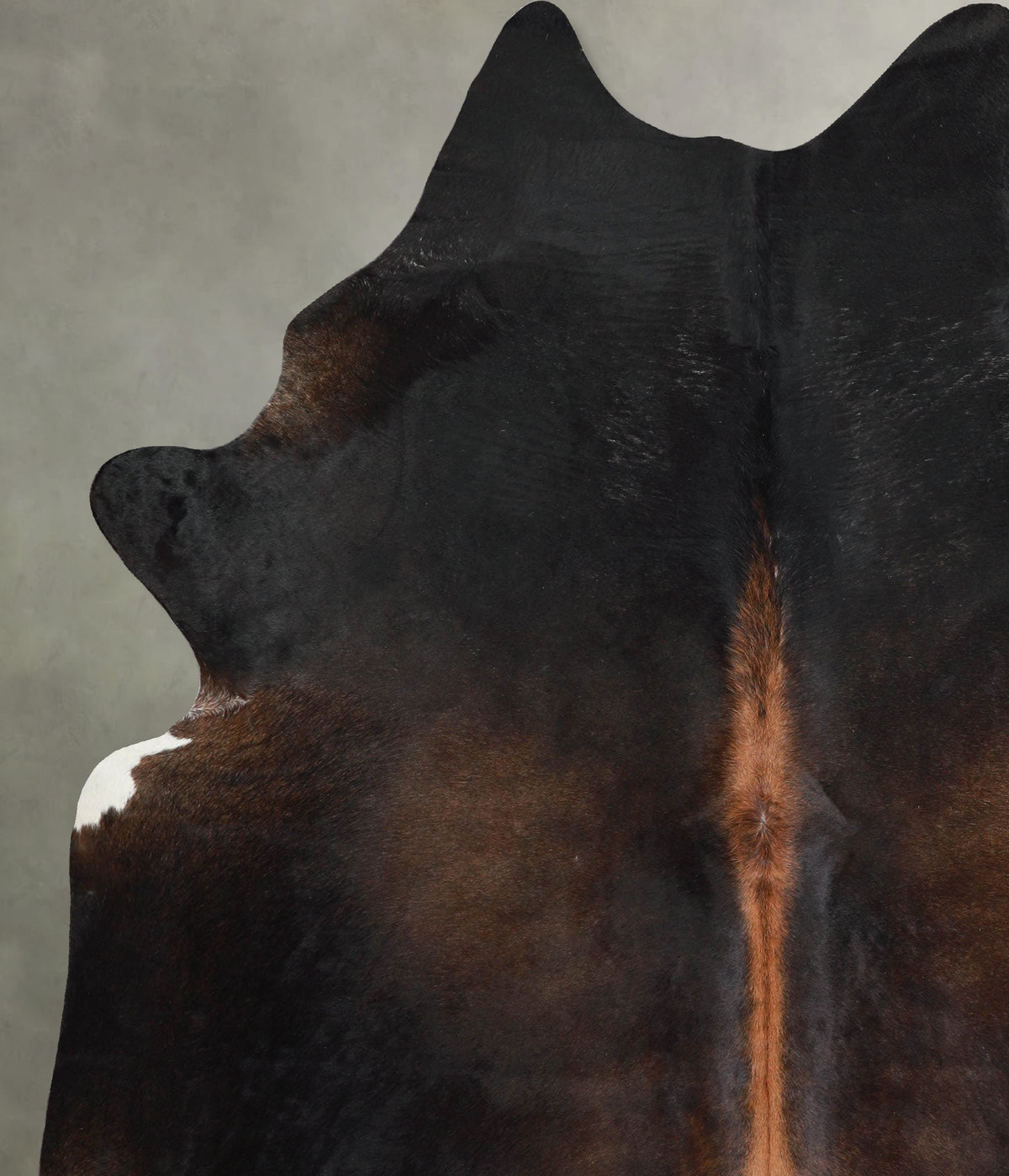 Warm Caramel X-Large Brazilian Cowhide Rug 7'9"H x 6'3"W #A53499 by Hudson Hides