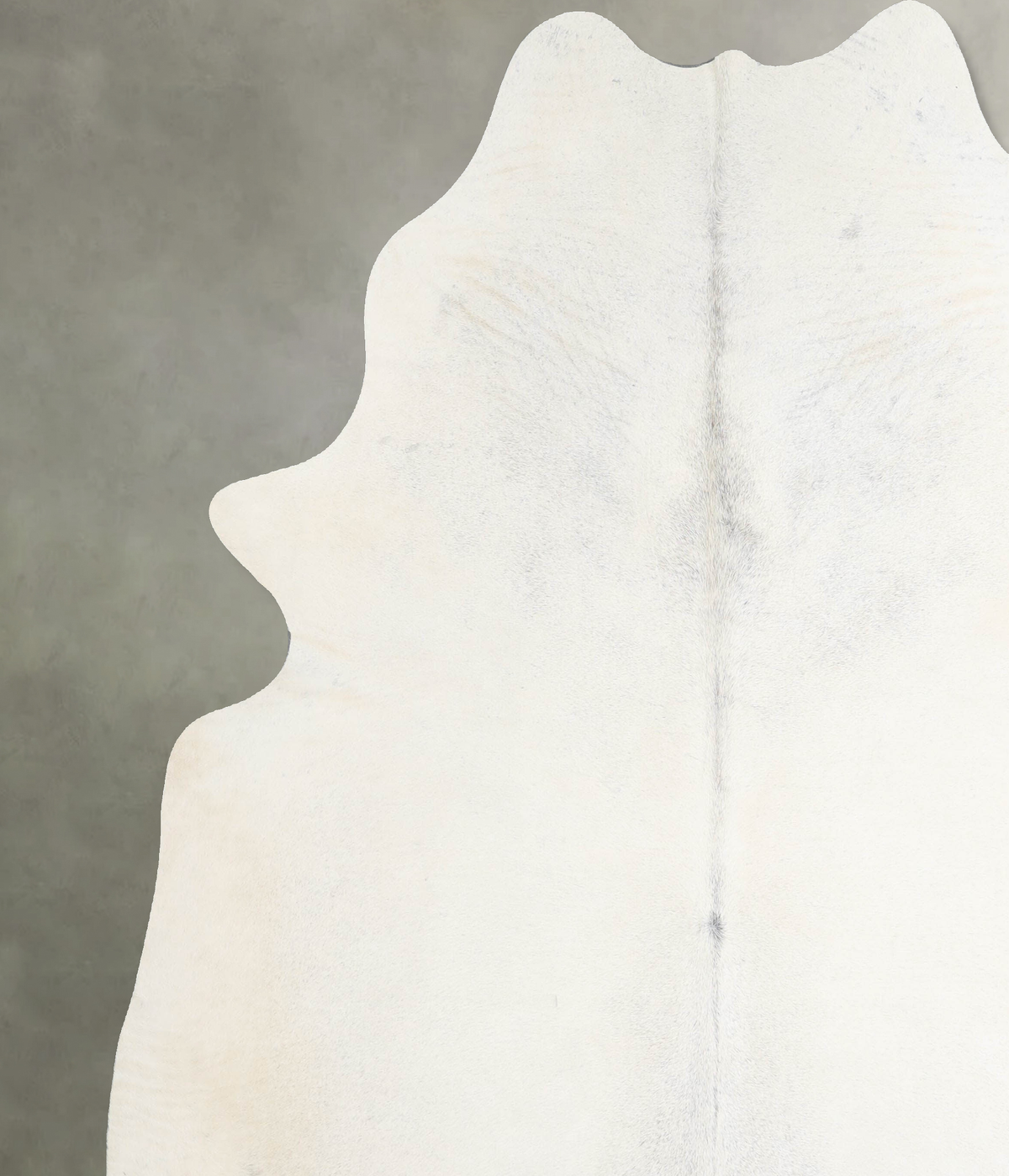 Light Grey XX-Large Brazilian Cowhide Rug 8'1"H x 7'3"W #A53500 by Hudson Hides