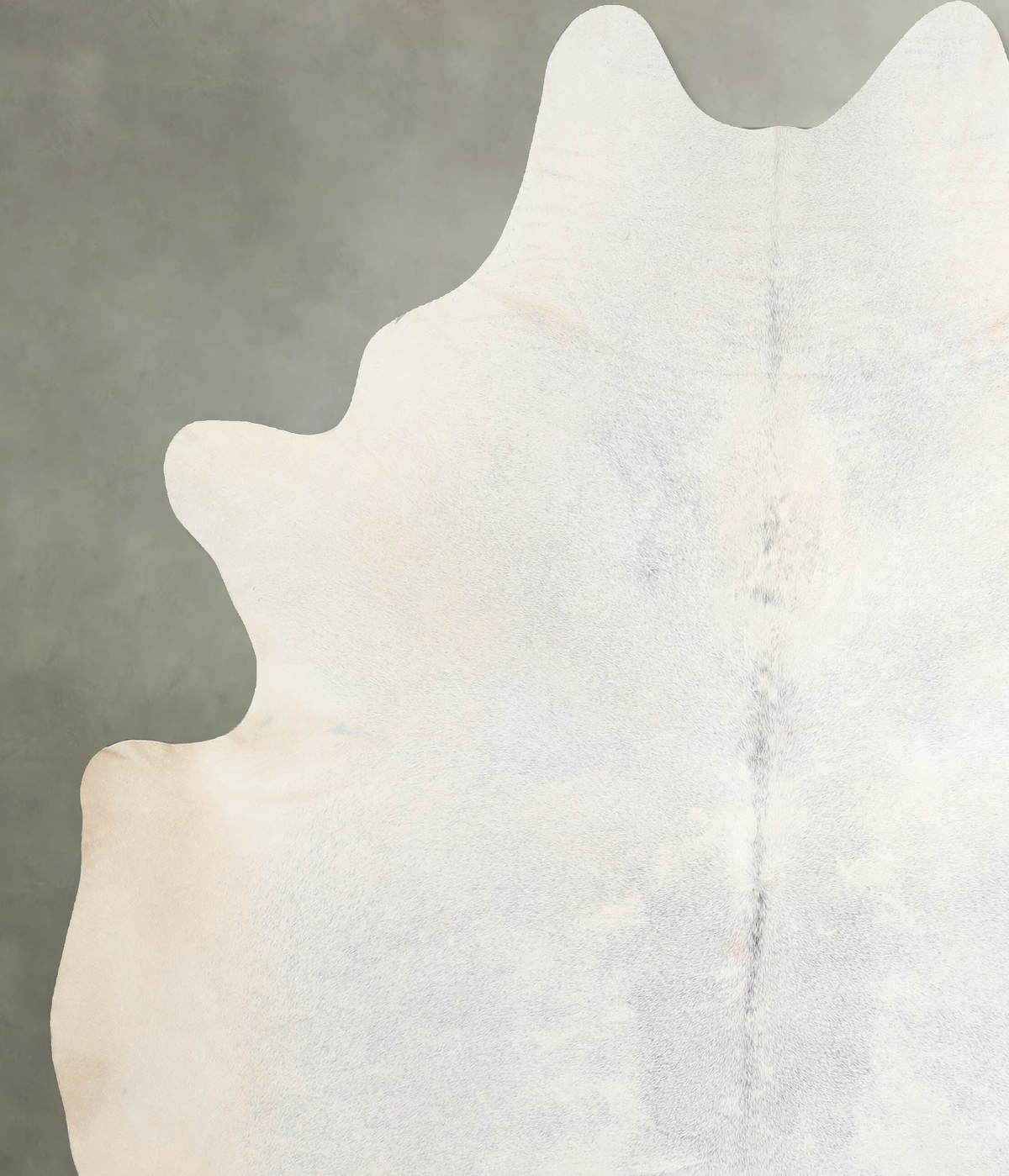 Light Grey XX-Large Brazilian Cowhide Rug 8'0"H x 6'10"W #A53510 by Hudson Hides