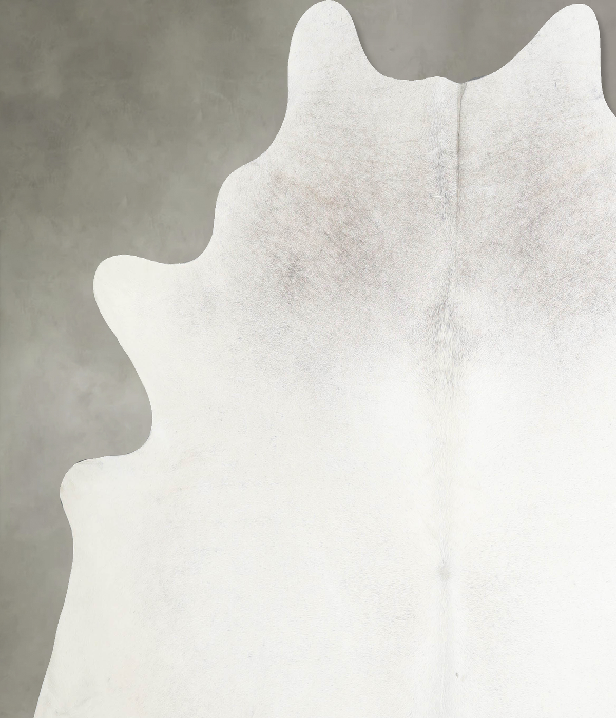 Light Grey XX-Large Brazilian Cowhide Rug 7'6"H x 7'3"W #A53513 by Hudson Hides