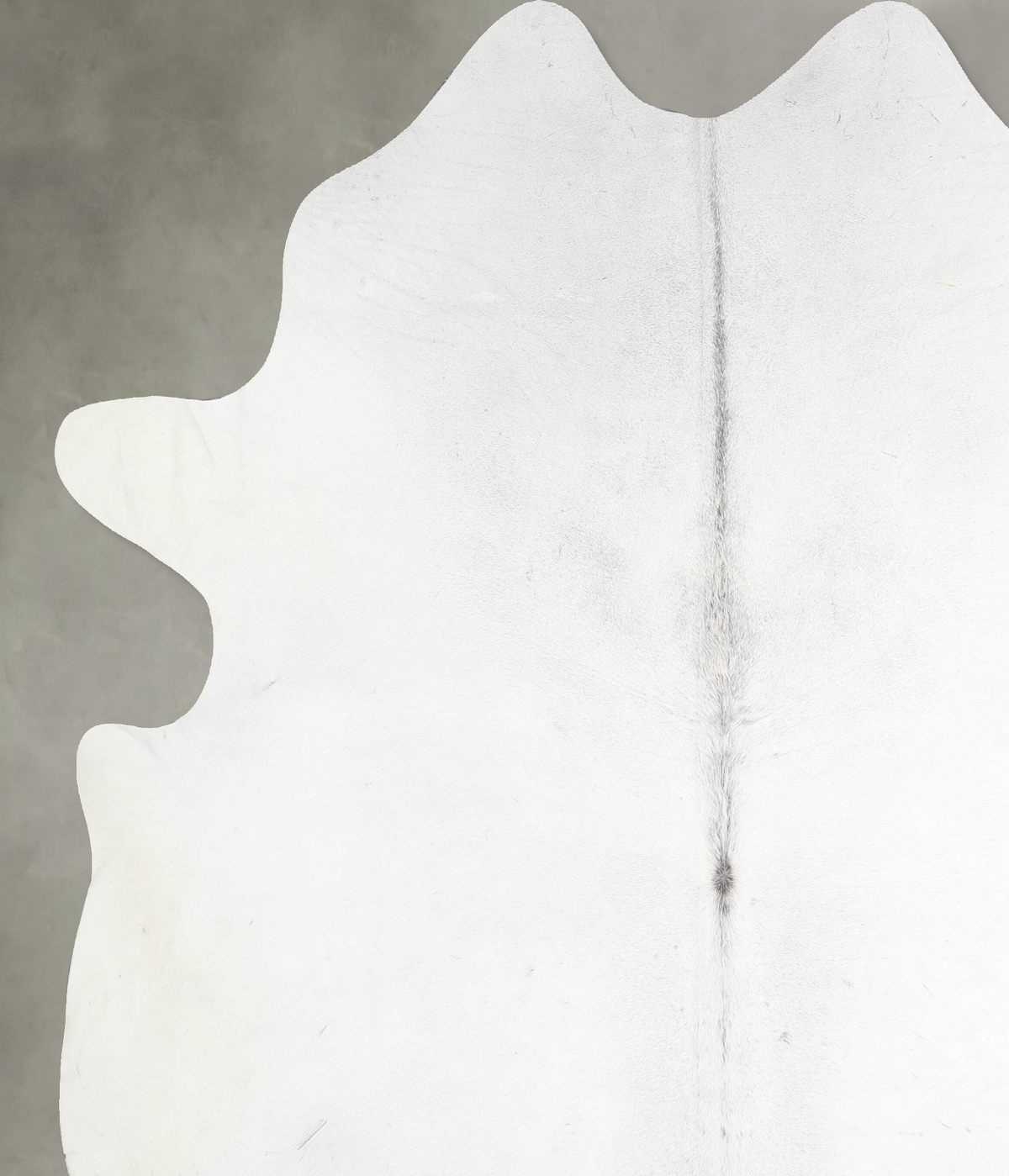 Light Grey XX-Large Brazilian Cowhide Rug 8'1"H x 7'2"W #A53518 by Hudson Hides