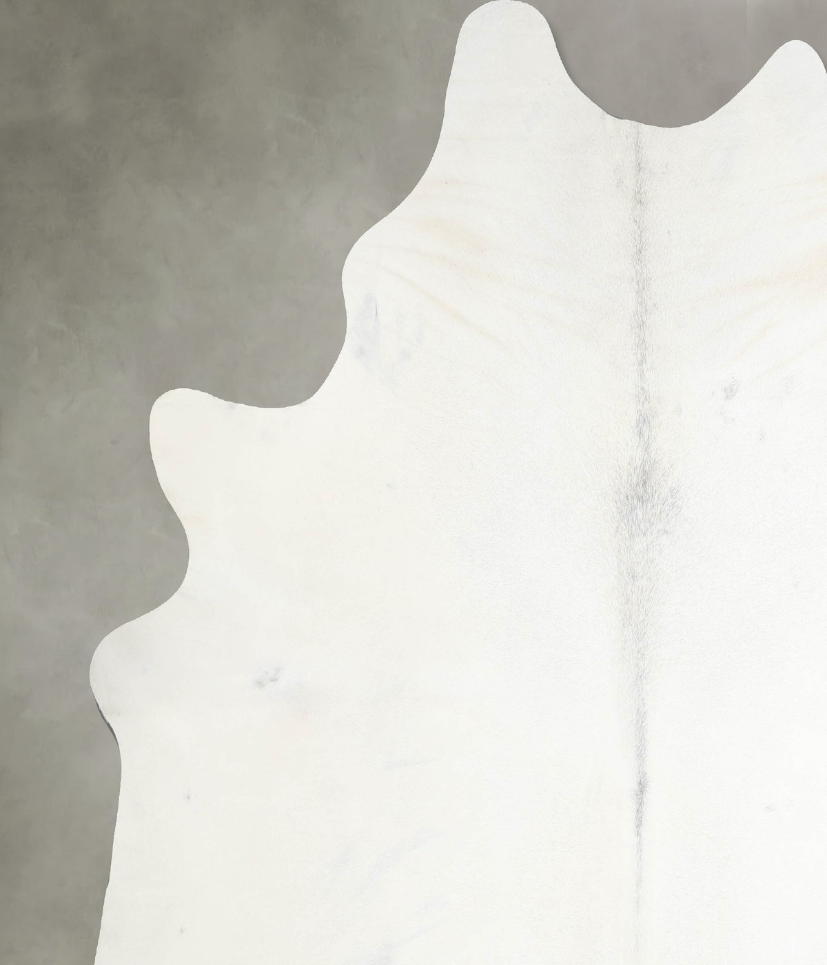 Light Grey XX-Large Brazilian Cowhide Rug 8'6"H x 7'1"W #A53523 by Hudson Hides