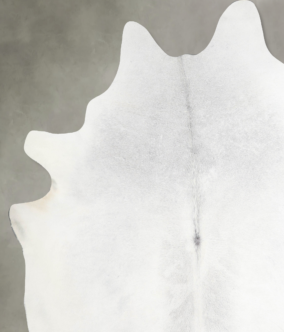 Medium Grey XX-Large Brazilian Cowhide Rug 8'8"H x 6'11"W #A53524 by Hudson Hides