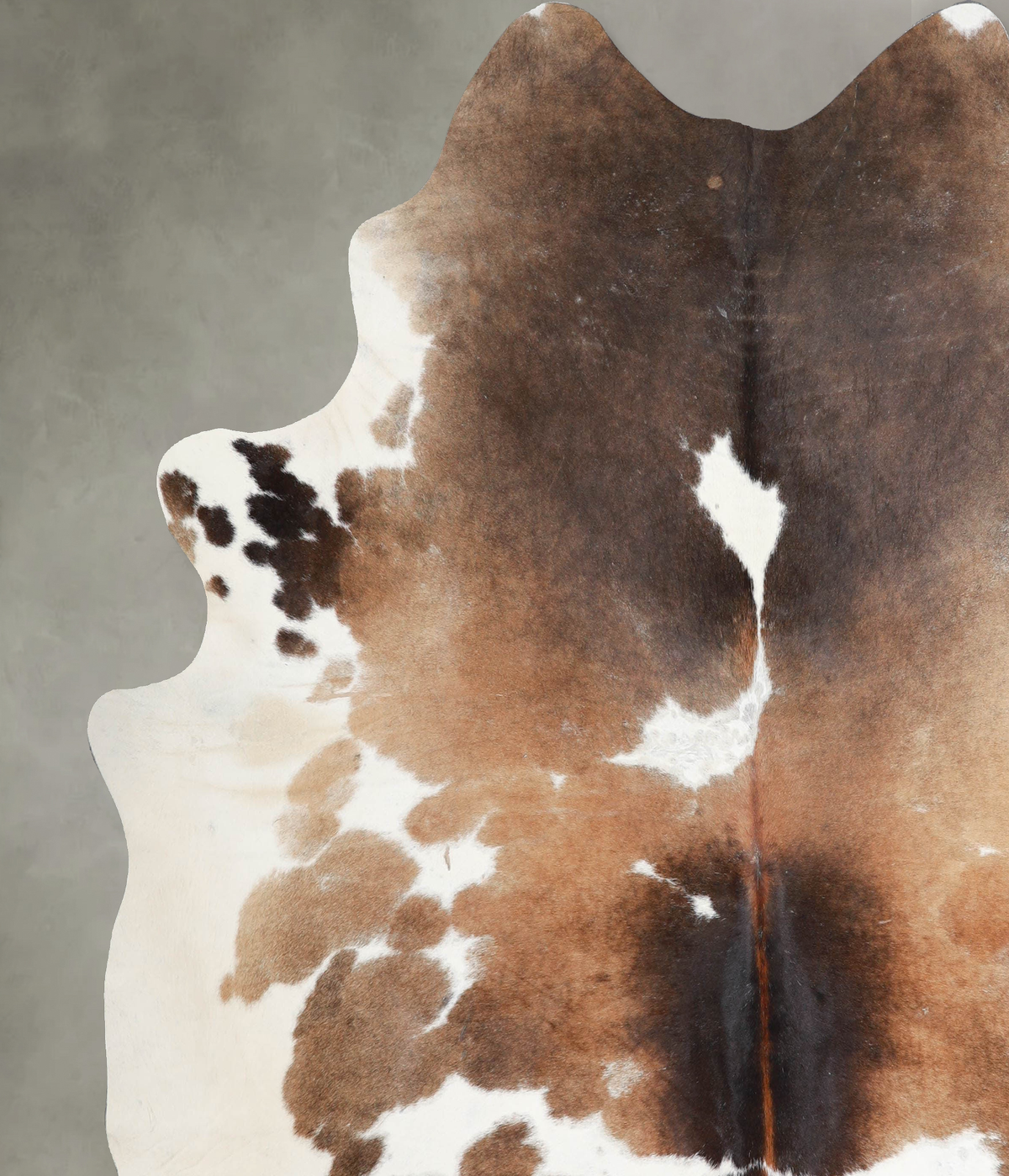 Chocolate and White XX-Large Brazilian Cowhide Rug 7'7"H x 7'4"W #A53525 by Hudson Hides
