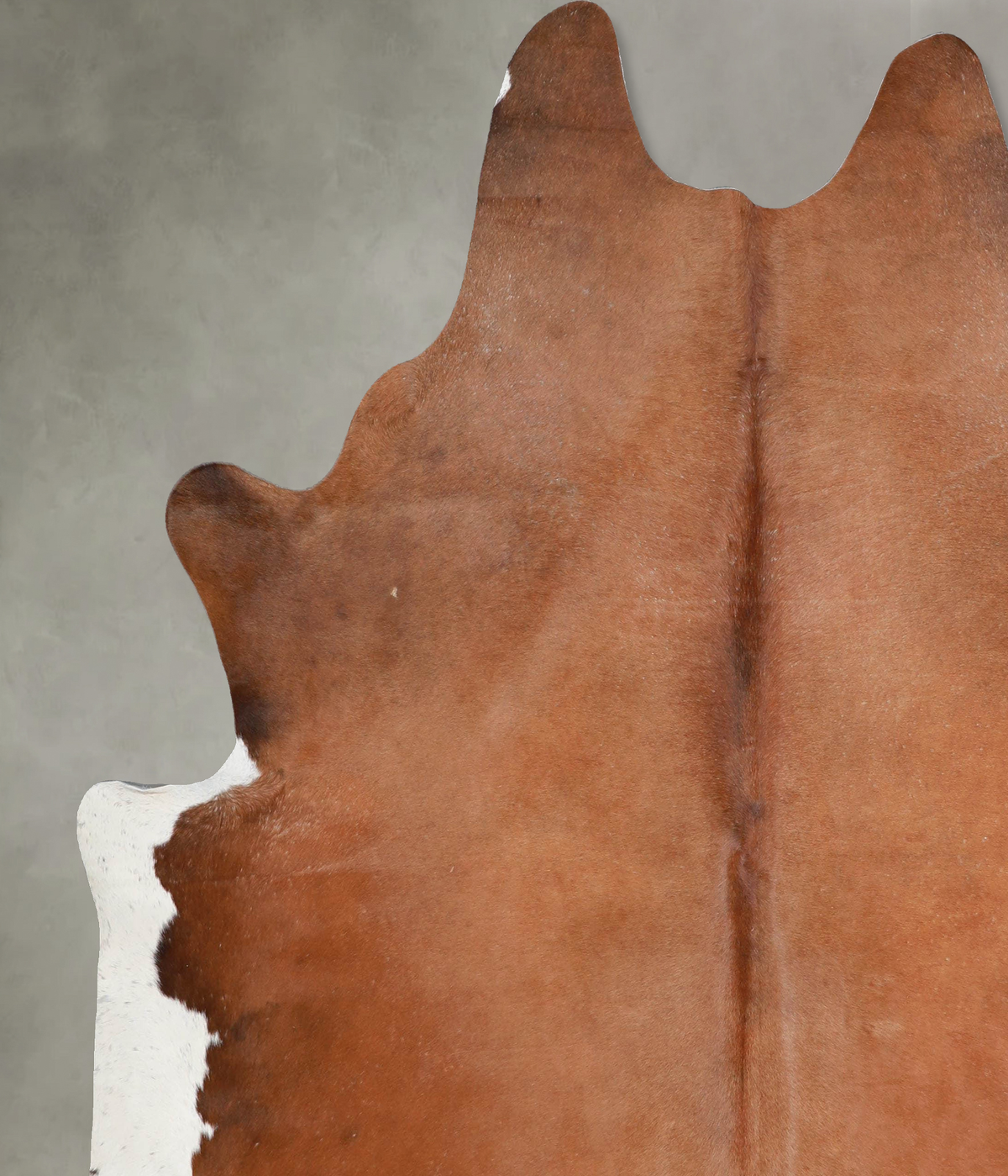 Brown and White Regular XX-Large Brazilian Cowhide Rug 7'8"H x 6'9"W #A53528 by Hudson Hides