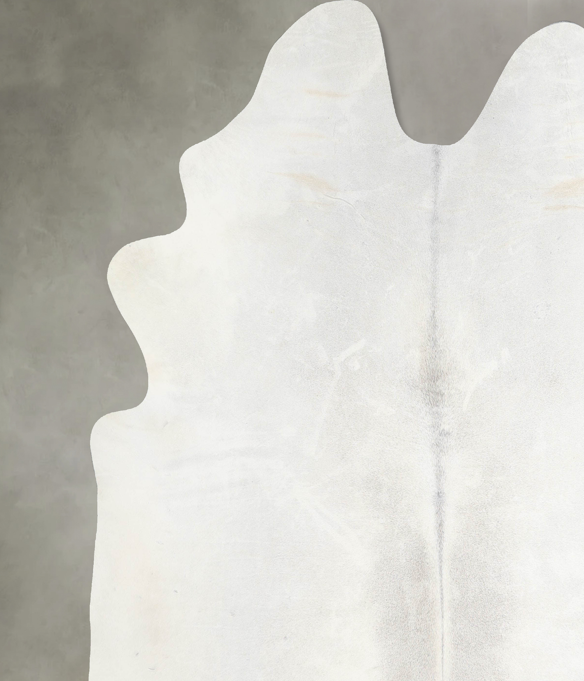 Light Grey XX-Large Brazilian Cowhide Rug 8'4"H x 7'5"W #A53531 by Hudson Hides