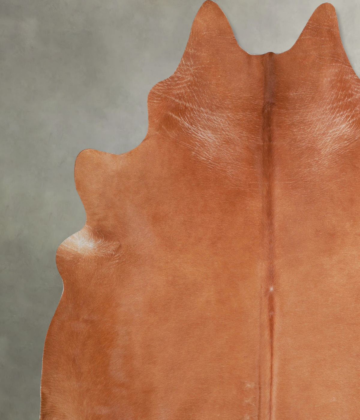 Solid Brown XX-Large Brazilian Cowhide Rug 7'9"H x 7'2"W #A53536 by Hudson Hides