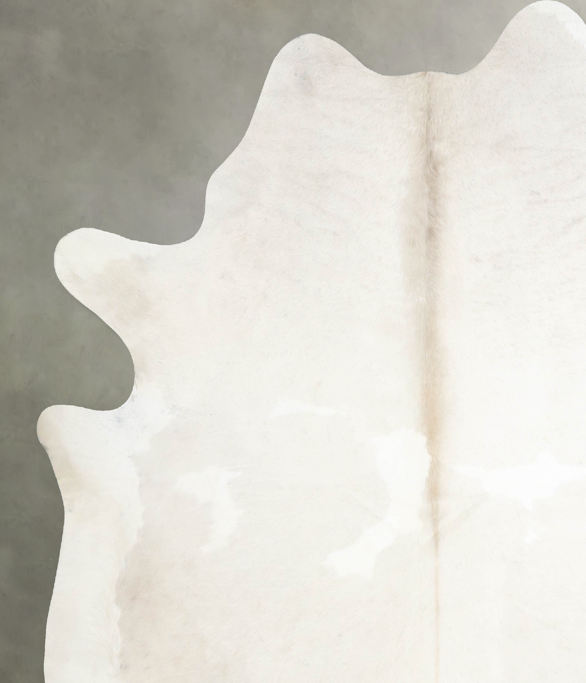 Ivory with Beige XX-Large Brazilian Cowhide Rug 7'10"H x 6'10"W #A53537 by Hudson Hides