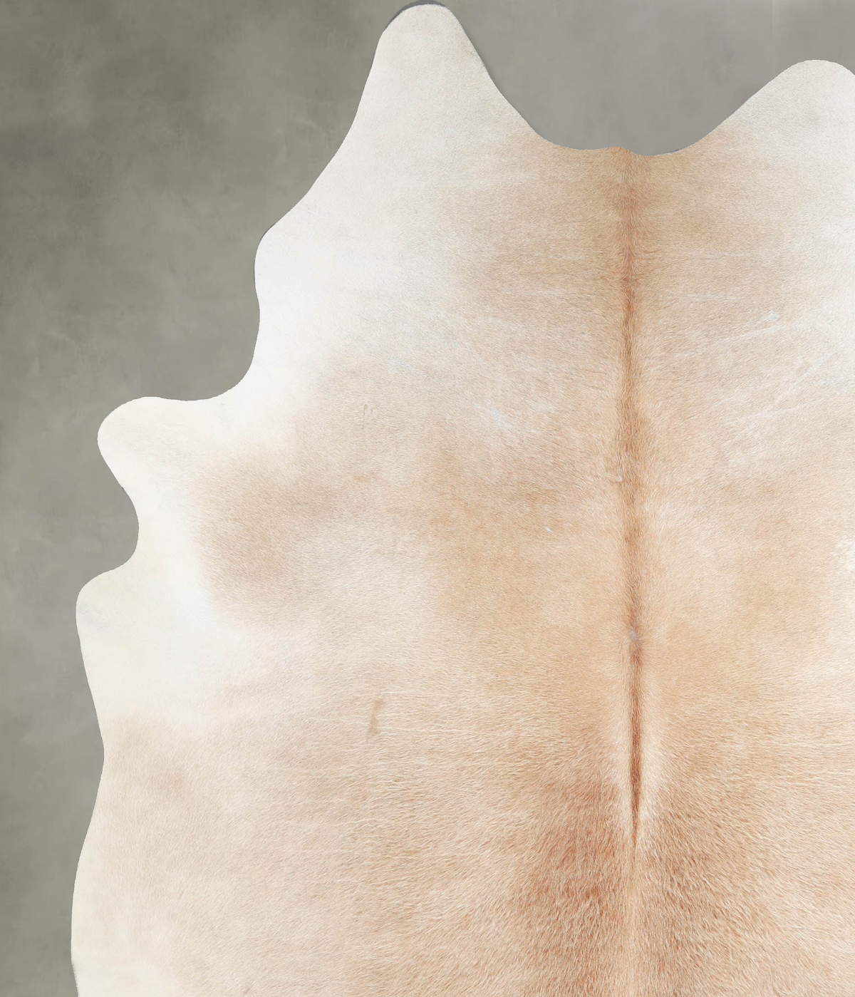 Ivory with Beige XX-Large Brazilian Cowhide Rug 8'5"H x 7'1"W #A53538 by Hudson Hides