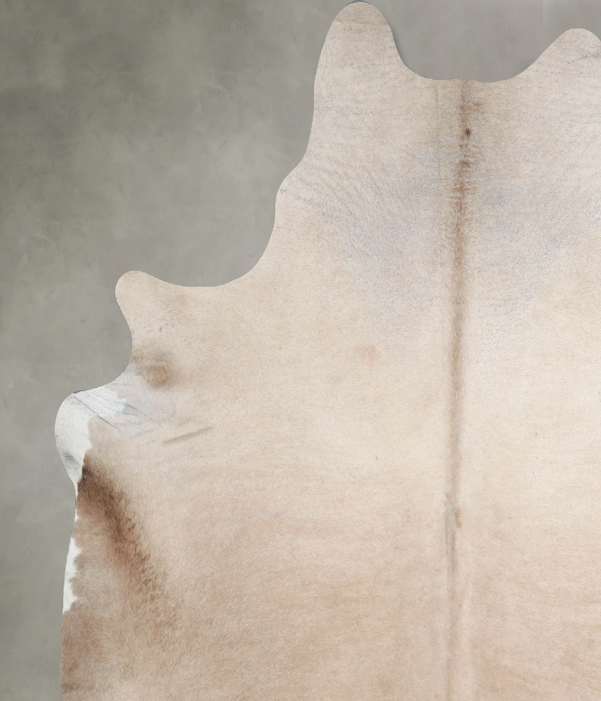 Taupe XX-Large Brazilian Cowhide Rug 8'0"H x 7'4"W #A53539 by Hudson Hides