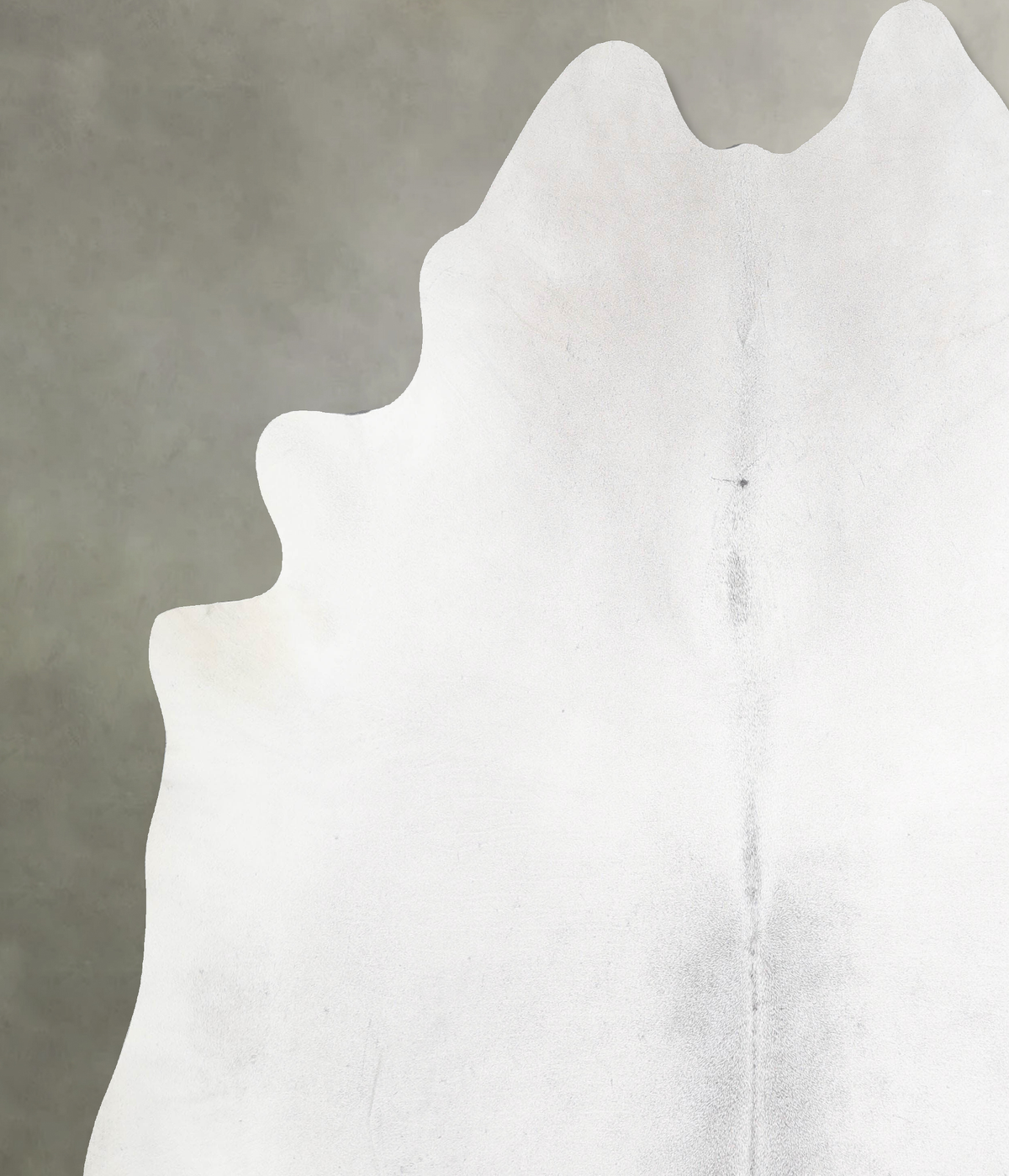 Light Grey XX-Large Brazilian Cowhide Rug 8'3"H x 7'9"W #A53540 by Hudson Hides