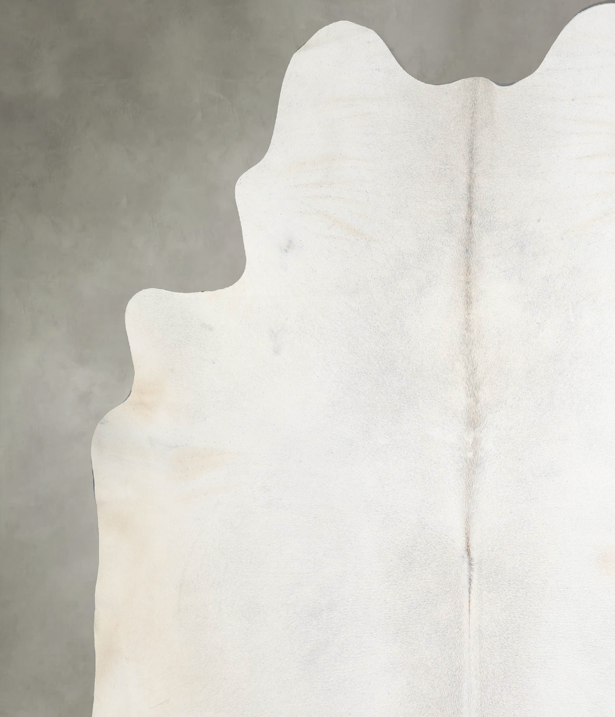 Light Grey XX-Large Brazilian Cowhide Rug 8'6"H x 7'5"W #A53542 by Hudson Hides