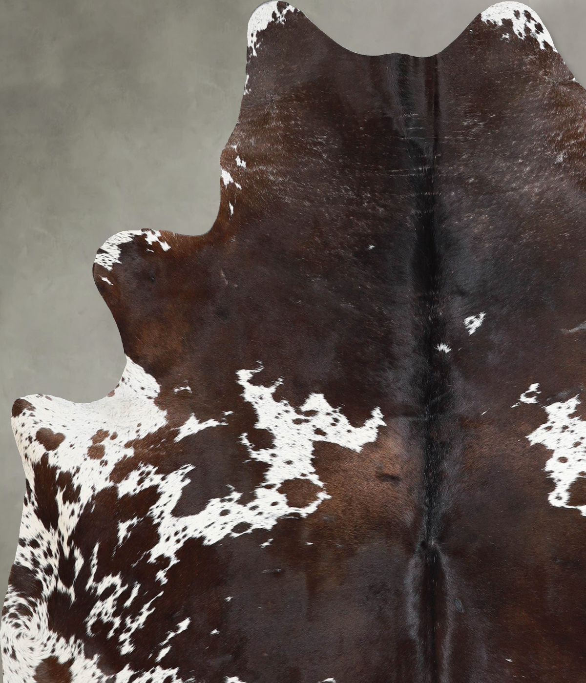 Chocolate and White X-Large Brazilian Cowhide Rug 7'1"H x 5'9"W #A53543 by Hudson Hides
