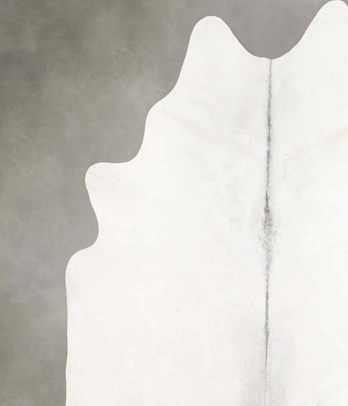 Light Grey XX-Large Brazilian Cowhide Rug 7'6"H x 7'2"W #A53547 by Hudson Hides
